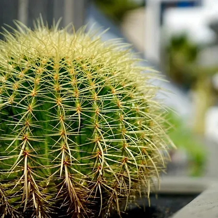 公寓式酒店 蓝色广场酒店 卡门港